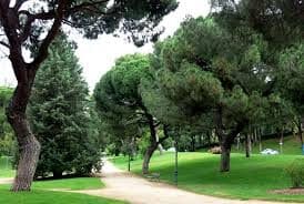parque del oeste para adiestramiento